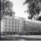 ...e contemporaneamente lo stabilimento termale che, ingranditosi a partire dagli anni 60, � divenuto un punto di riferimento per persone bisognose di cure